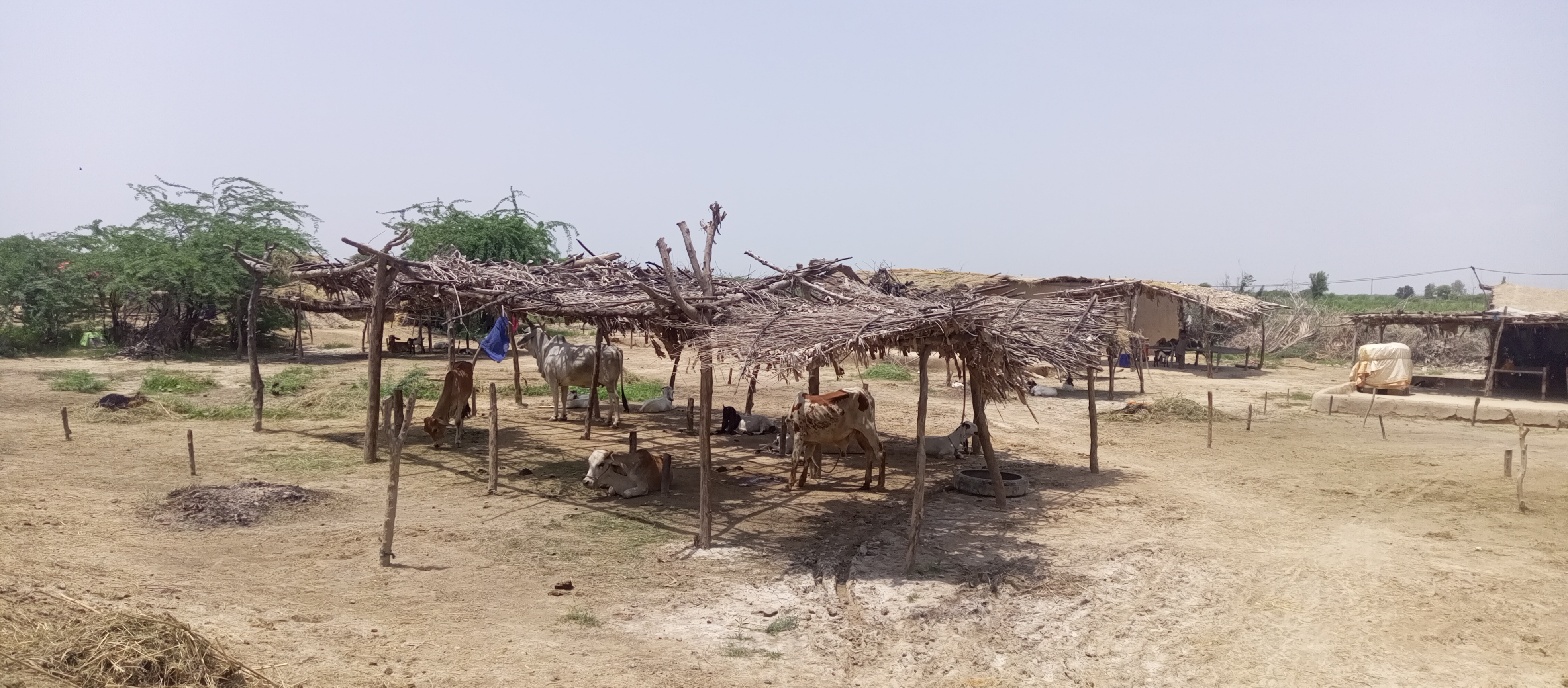 Balochistan flood relief 2022 image