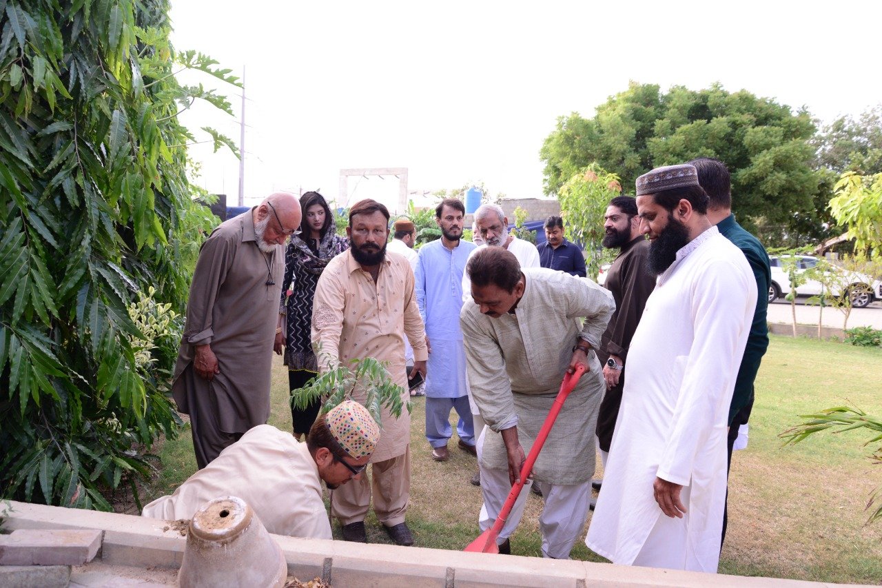 Plantation Drive image 3